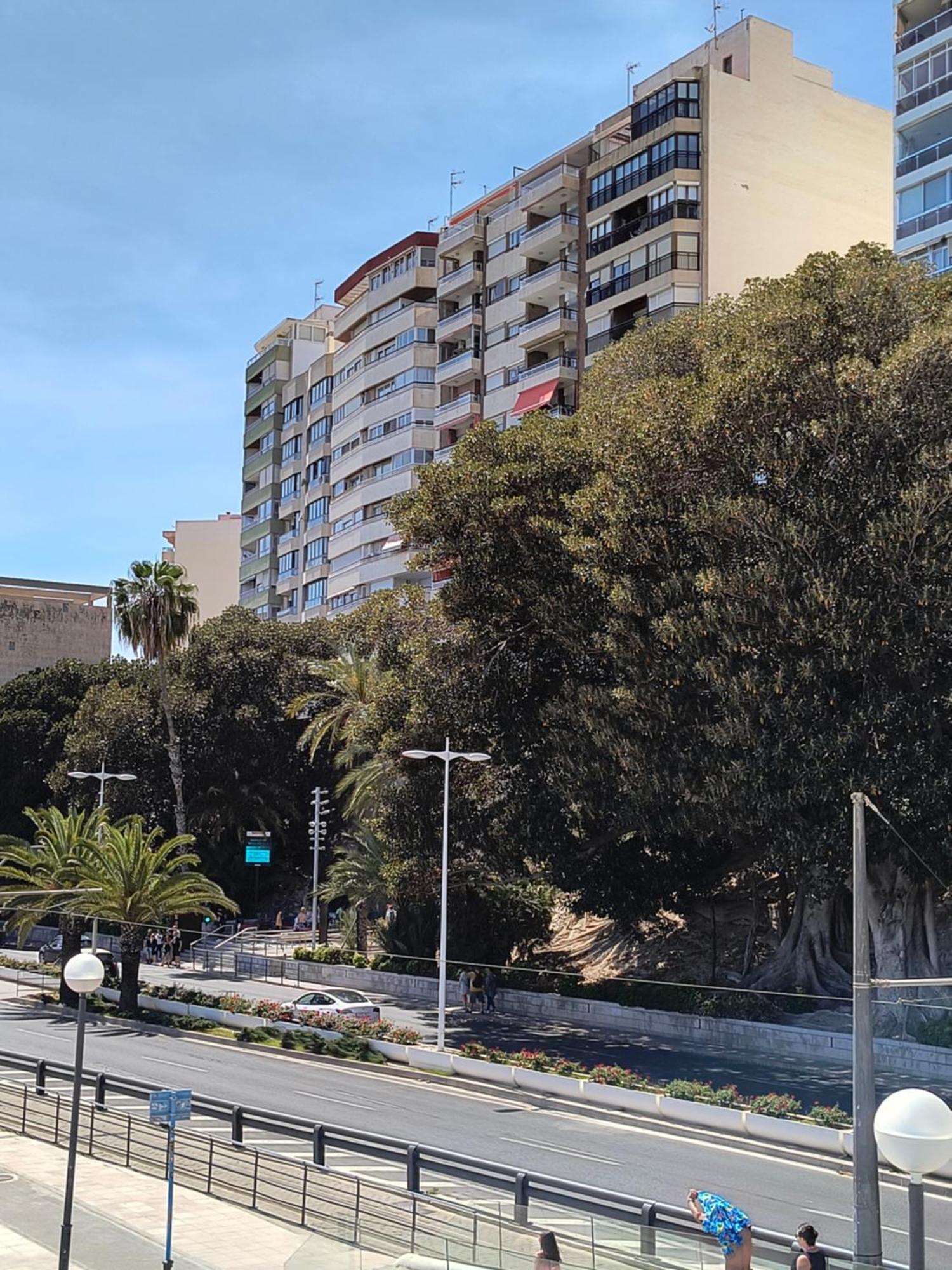 Apartamento Playa Alicante Eksteriør bilde